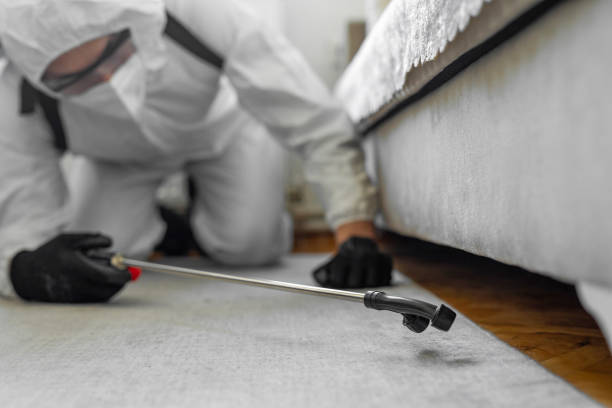 Professional Termite Control technician working in Graceville, FL