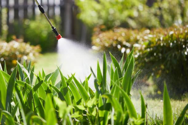 24/7 Emergency Termite Control experts in Graceville, FL